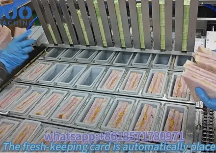 Revolutionary Sandwich Sealing Machine – Boost Your Production Speed!