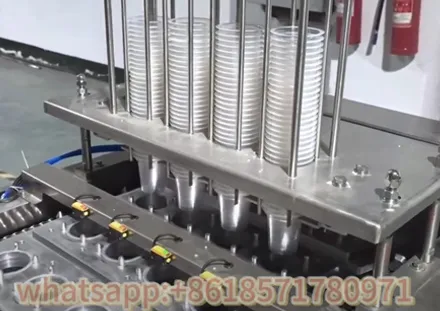 Full-Automatic Sunflower Seed Kernels Linear Weighing Filling Packaging Machine nuts package machine