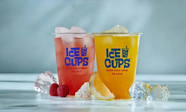Danish Client Ice Cup Production Line Project
