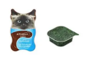 Hygienic Pet Meat Paste Filling Machine for Wet Food