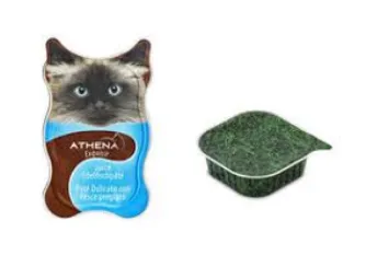 Hygienic Pet Meat Paste Filling Machine for Wet Food